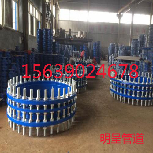 目前（qián），雙法蘭傳力接頭的形（xíng）式怎麽樣